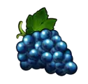 Trauben symbol